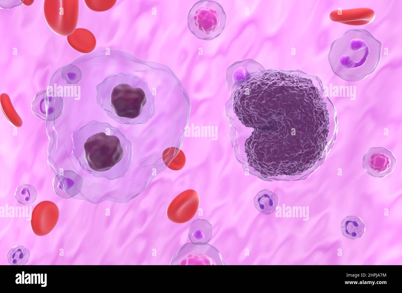 Hodgkin lymphoma (HL) and non-hodgkin lymphoma (NHL) cells in the blood flow - closeup view 3d illustration Stock Photo