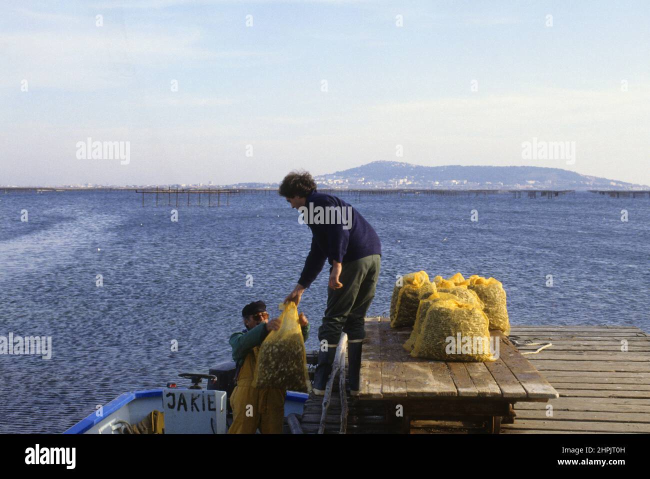 France Thau pond Bouzigues oysters production Stock Photo