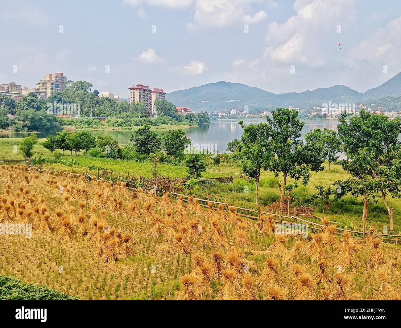 The harvest season Stock Photo Alamy