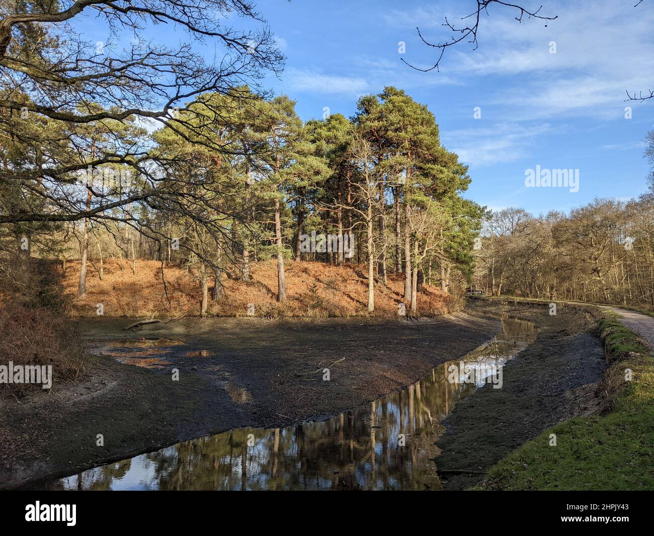 Water levels are low along the Basingstoke Canal between Deepcut and Pirbright in Surrey Stock Photo