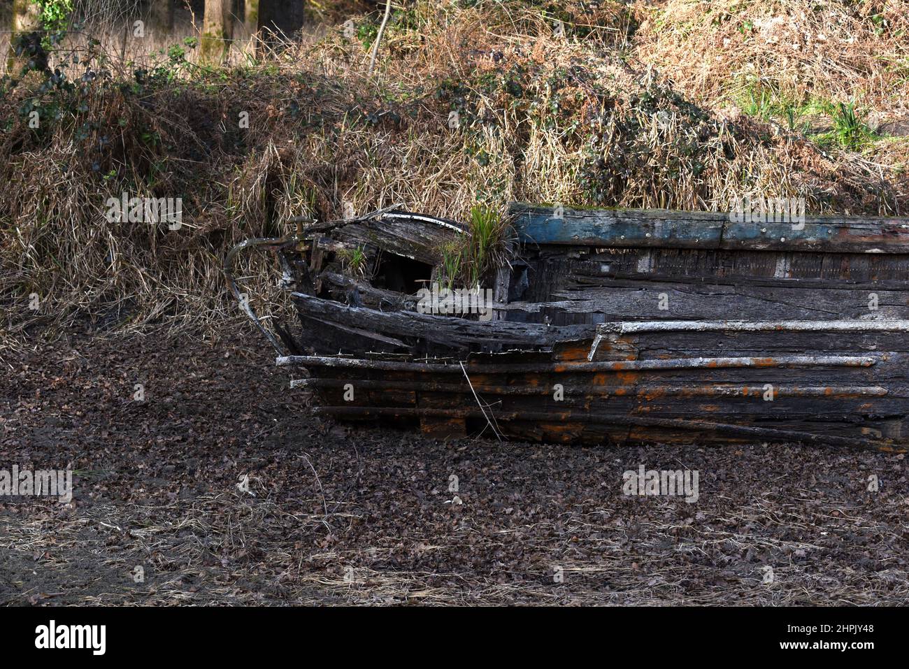 An old sunken narrowboat is revealed as the Basingstoke Canal is drained near Deepcut in Surrey Stock Photo