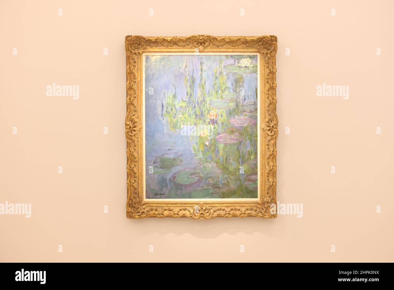 Water Lilies (Nympheas) by Claude on display during a preview at