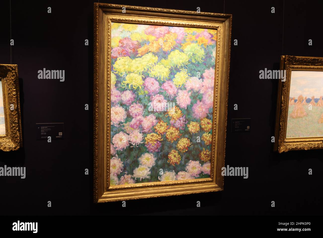 Massif de chrysanthemes by Claude on display during a preview at