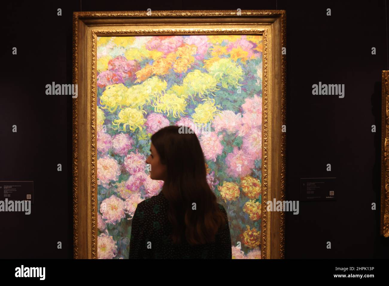 Massif de chrysanthemes by Claude on display during a preview at