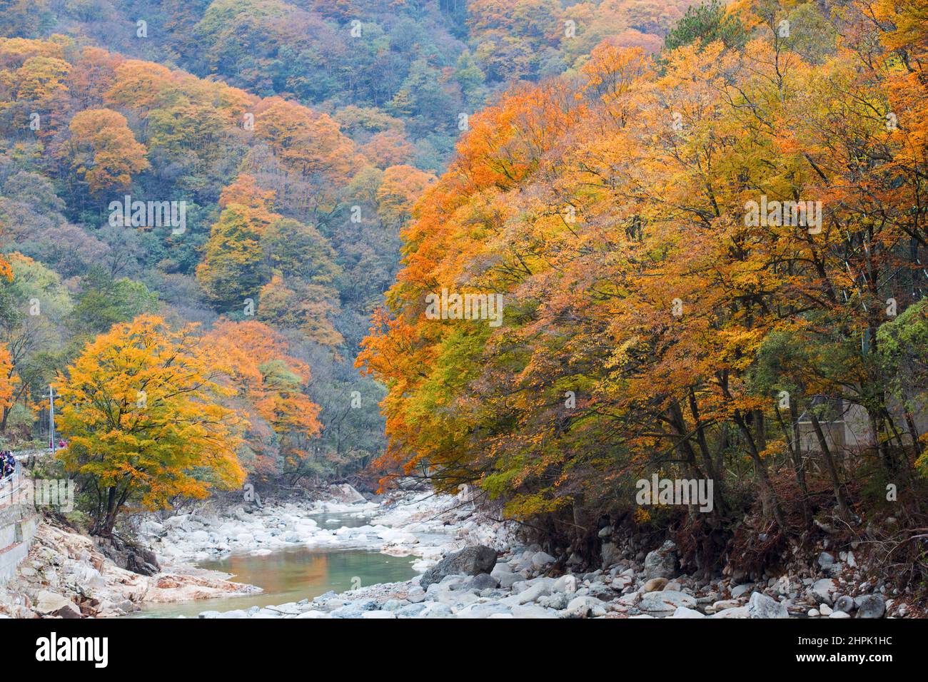 Optical haze mountain scenery Stock Photo Alamy