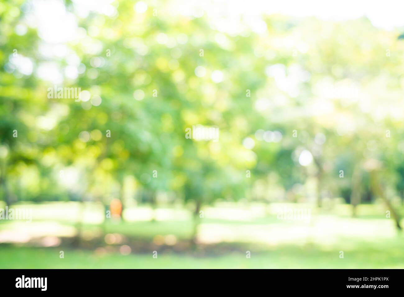 Soft bokeh park scene blurred hi-res stock photography and images - Alamy