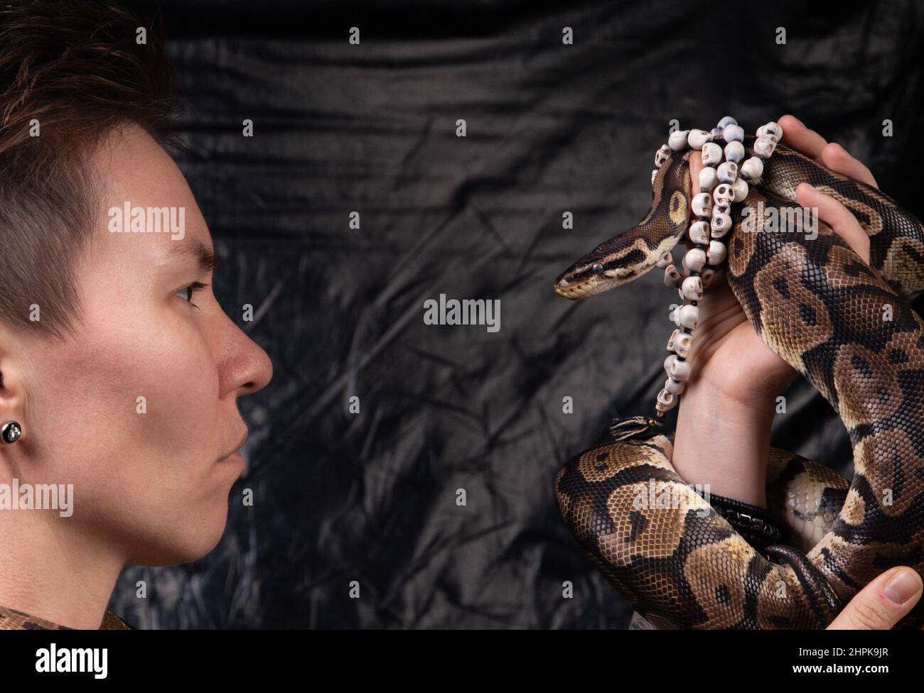 Photo of serious woman looking into snakes eyes Stock Photo