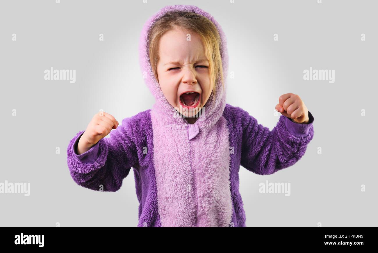 angry little toddler child furiously screaming raise hands in purple ...