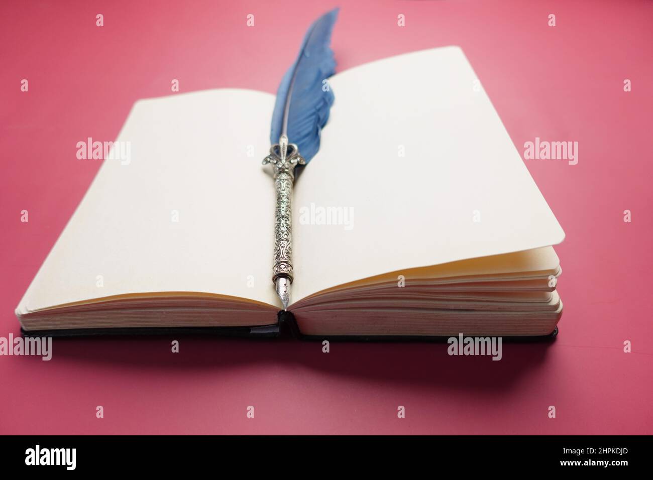 fountain pen and a open boon on ted background Stock Photo