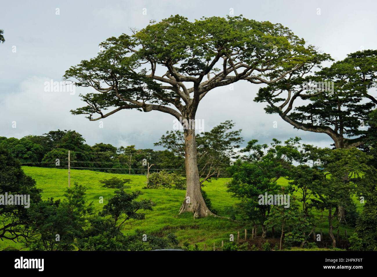 Route 1, Republic of Costa Rica, Central America Stock Photo