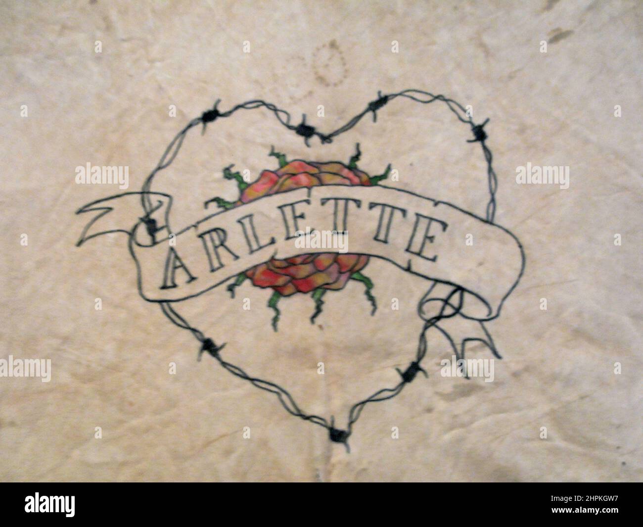 Arlette Tattoo, Wim Delvoye, Modern Art Museum, San Josè, Republic of Costa Rica, Central America Stock Photo