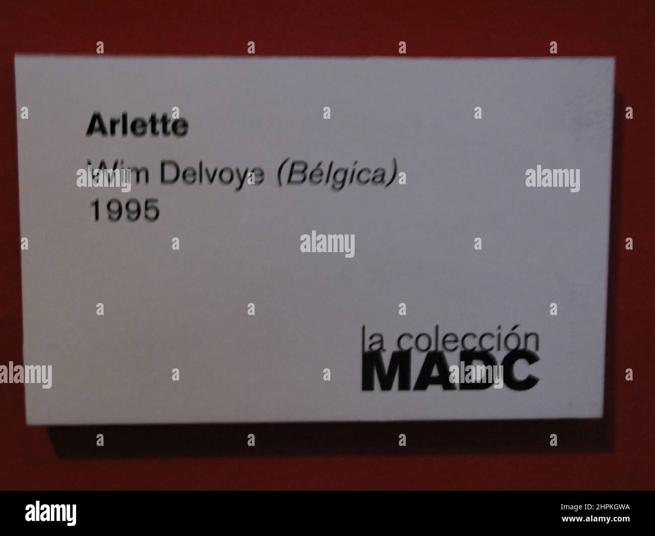 Arlette Tattoo, Wim Delvoye, Modern Art Museum, San Josè, Republic of Costa Rica, Central America Stock Photo