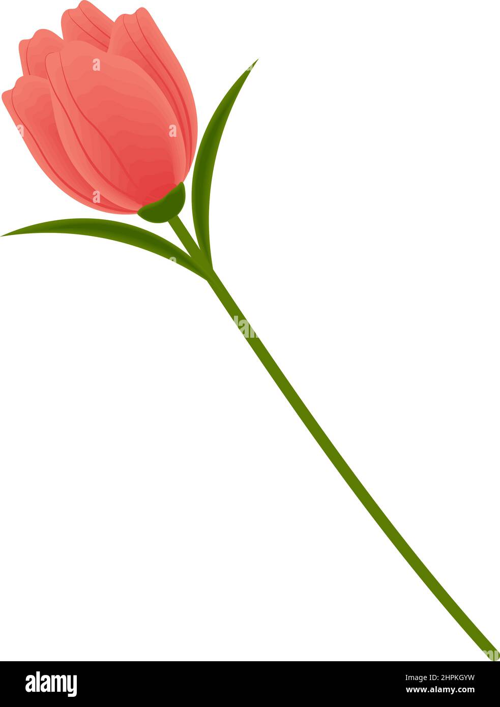 flower leaf nature Stock Vector Image & Art - Alamy