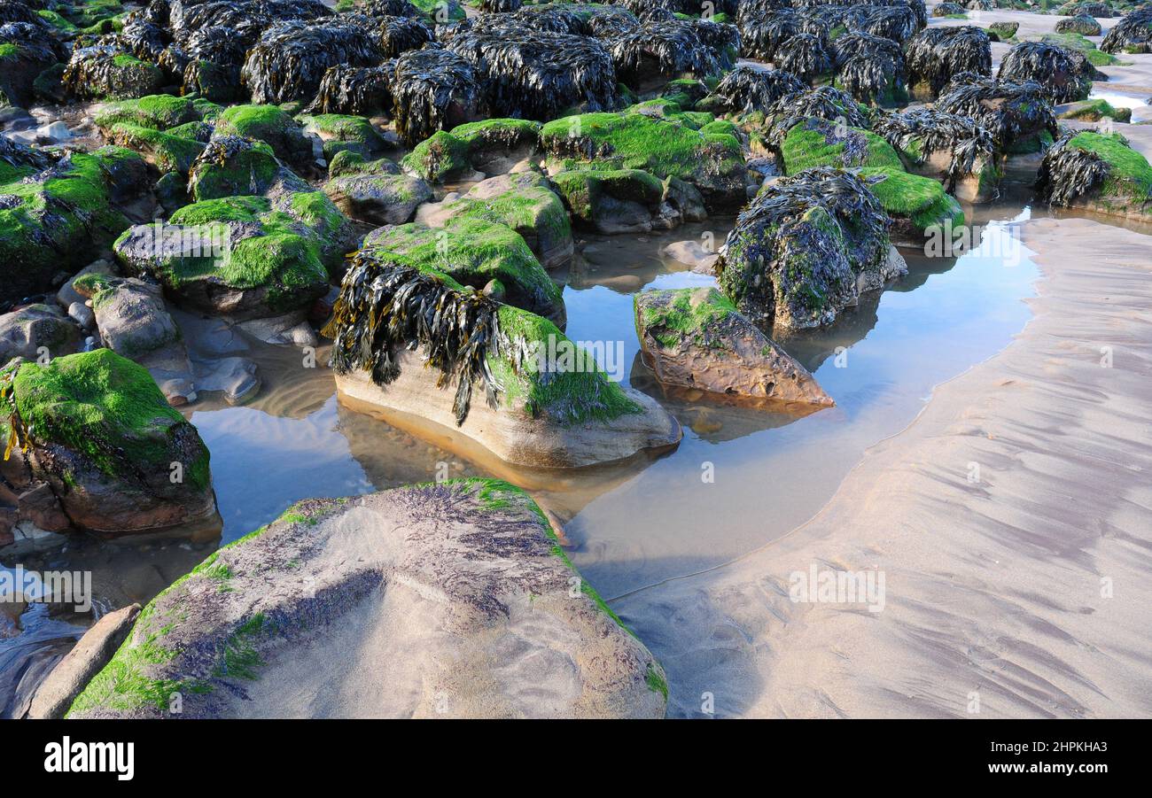 Different coloured sand and rock poosl, Whitby Beach, Yorkshire. Stock Photo