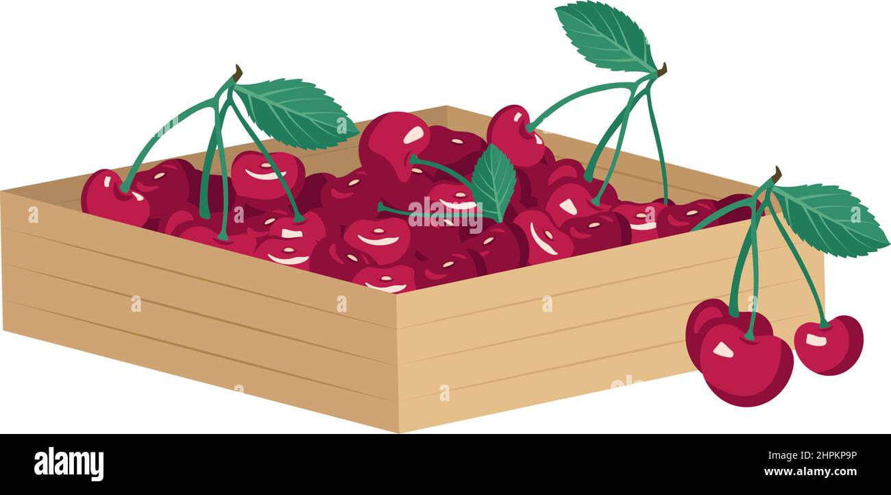 Box with ripe red cherry berry with leaves. Sweet delicious food and