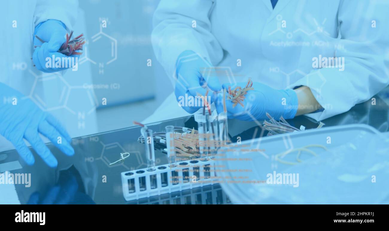 Molecular structure against scientists working in laboratory Stock Photo