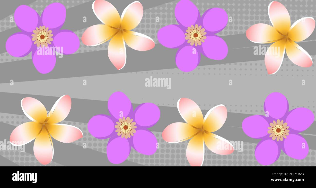 Image of pink and purple flowers on spinning grey stripes in background Stock Photo