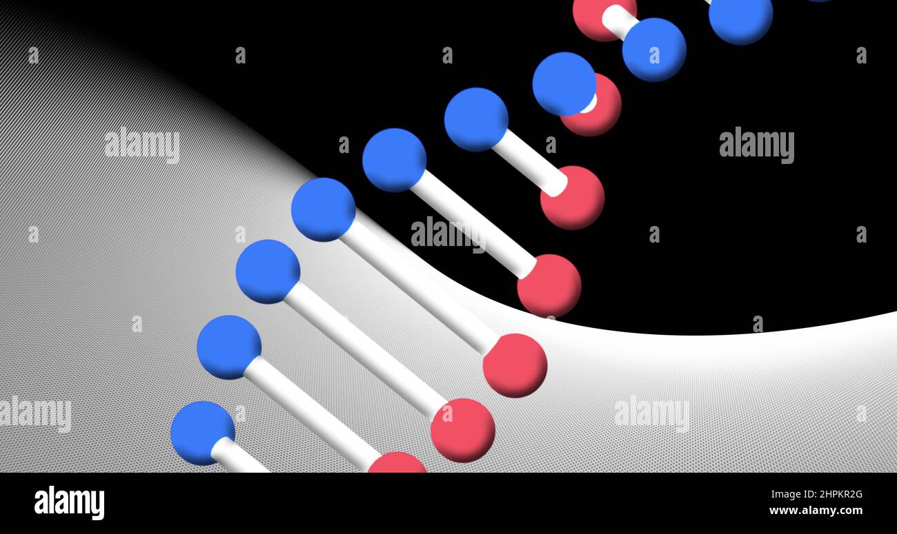 Image of dna strand spinning on black and white background Stock Photo