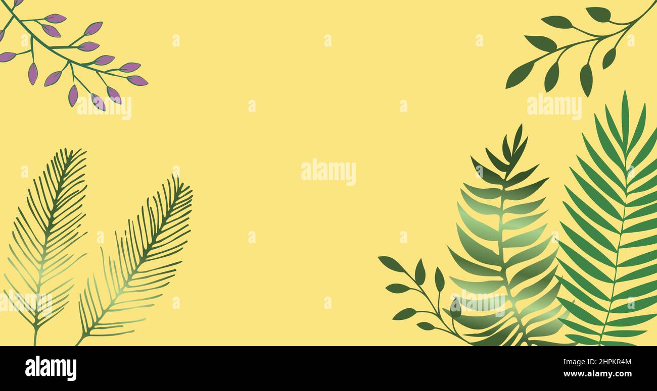Image of tropical plant leaves on yellow background Stock Photo