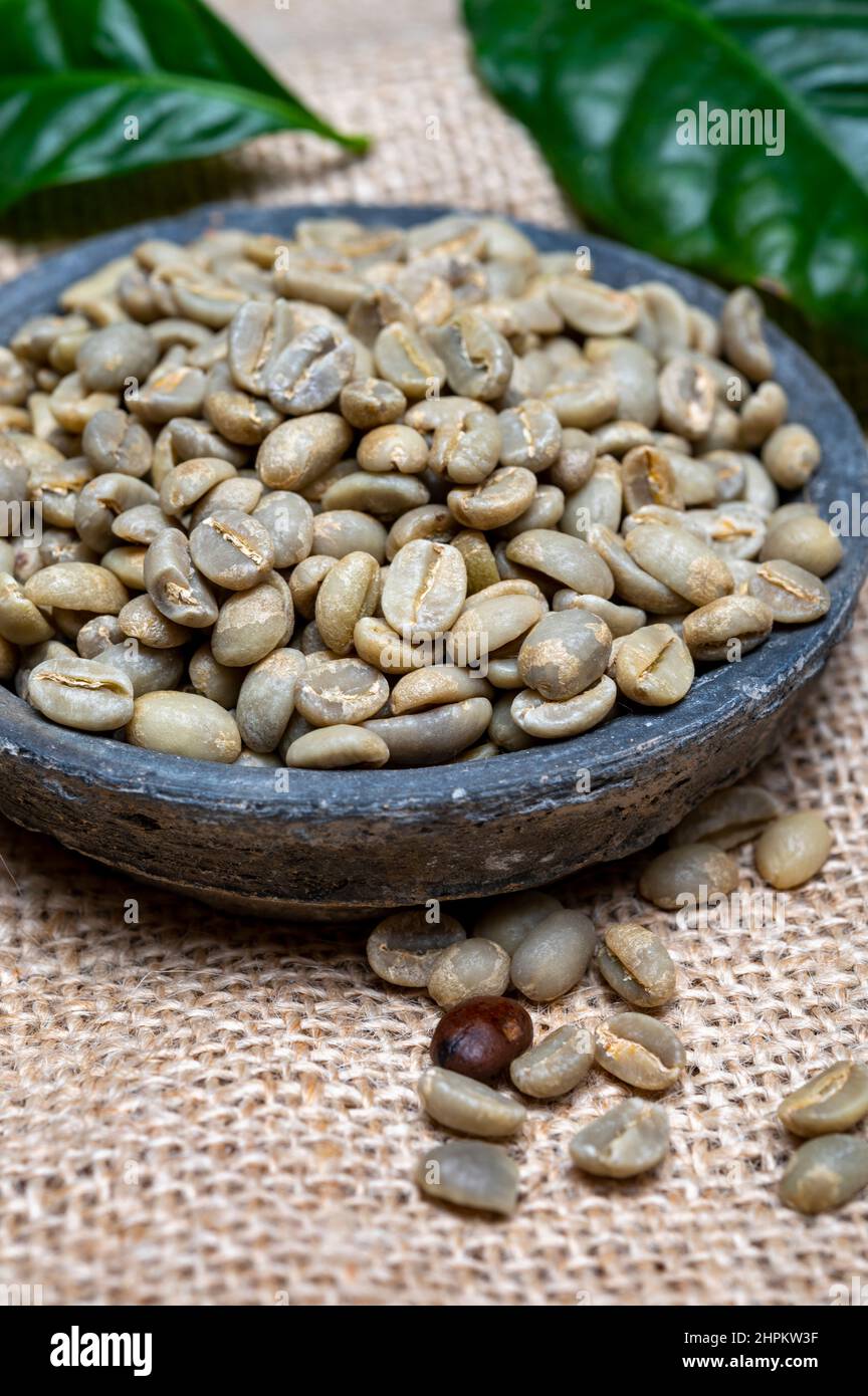 Green unroasted and brown roasted coffee beans from Africa coffee