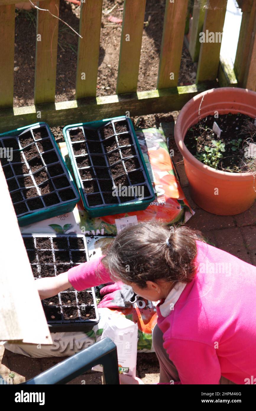 Planting seeds in trays with Compost to go in Propagator Oxfordshire