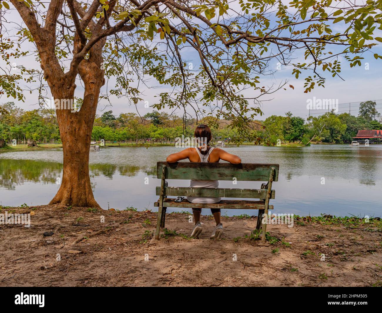 Woman Sitting on a Park Bench Stock Photo - Alamy