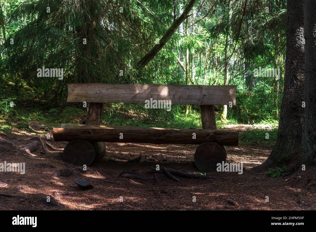 Massive bench made of logs on a forest path in a dense coniferous forest. Stock Photo