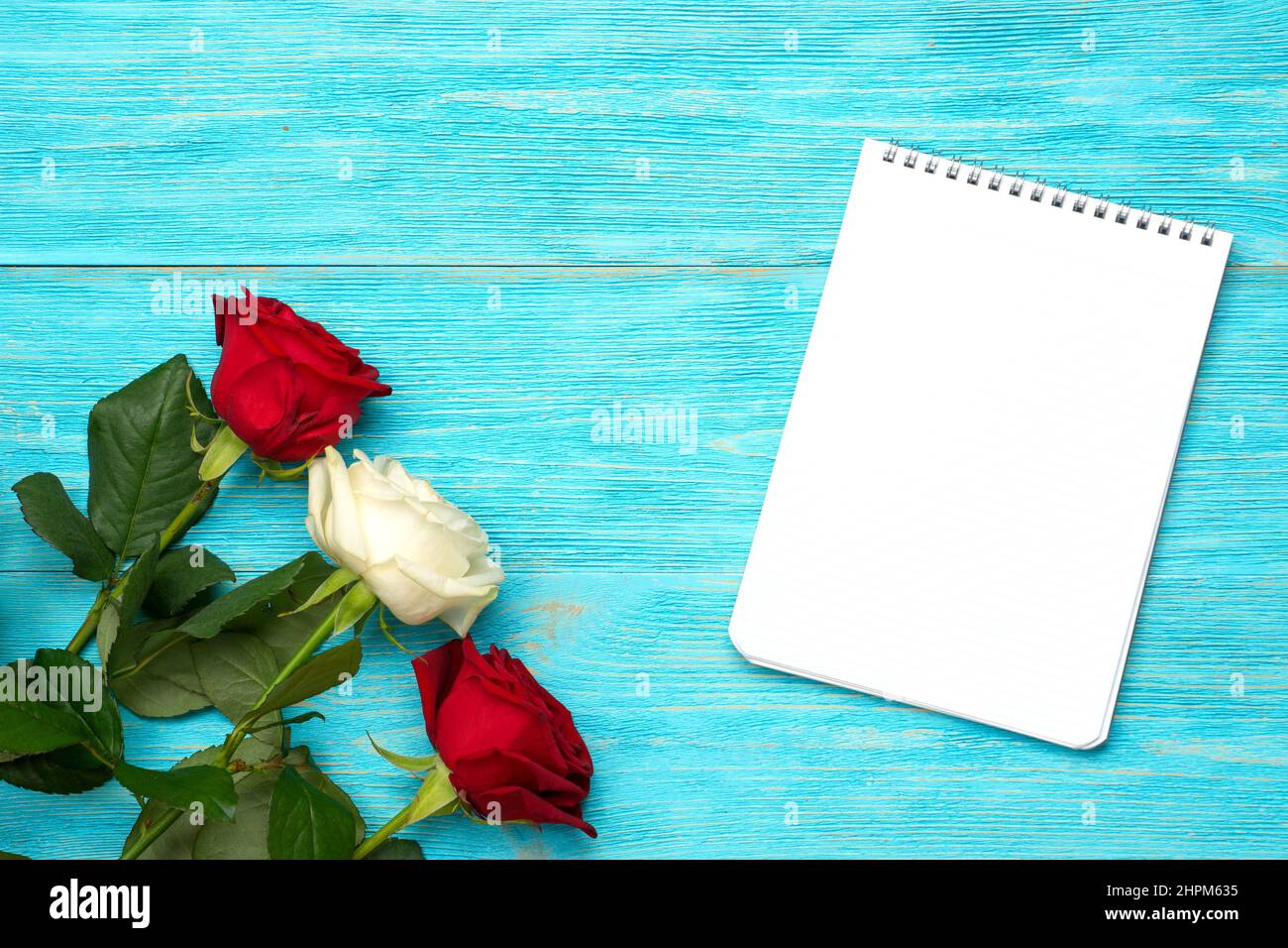 Blue white red roses hi-res stock photography and images - Alamy