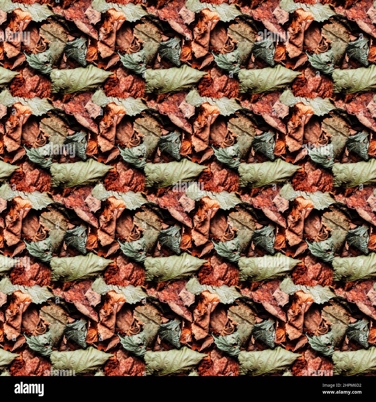 Seamless brown and red autumn leaves colored camouflage photo pattern. Stock Photo