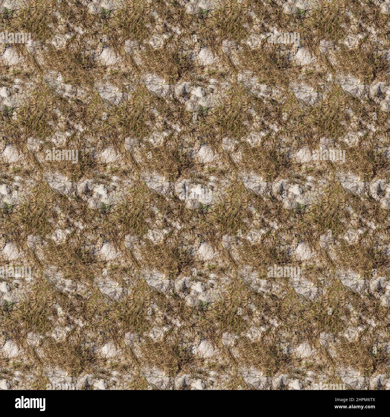 Seamless dry sandy brown grass colored camouflage photo pattern. Stock Photo