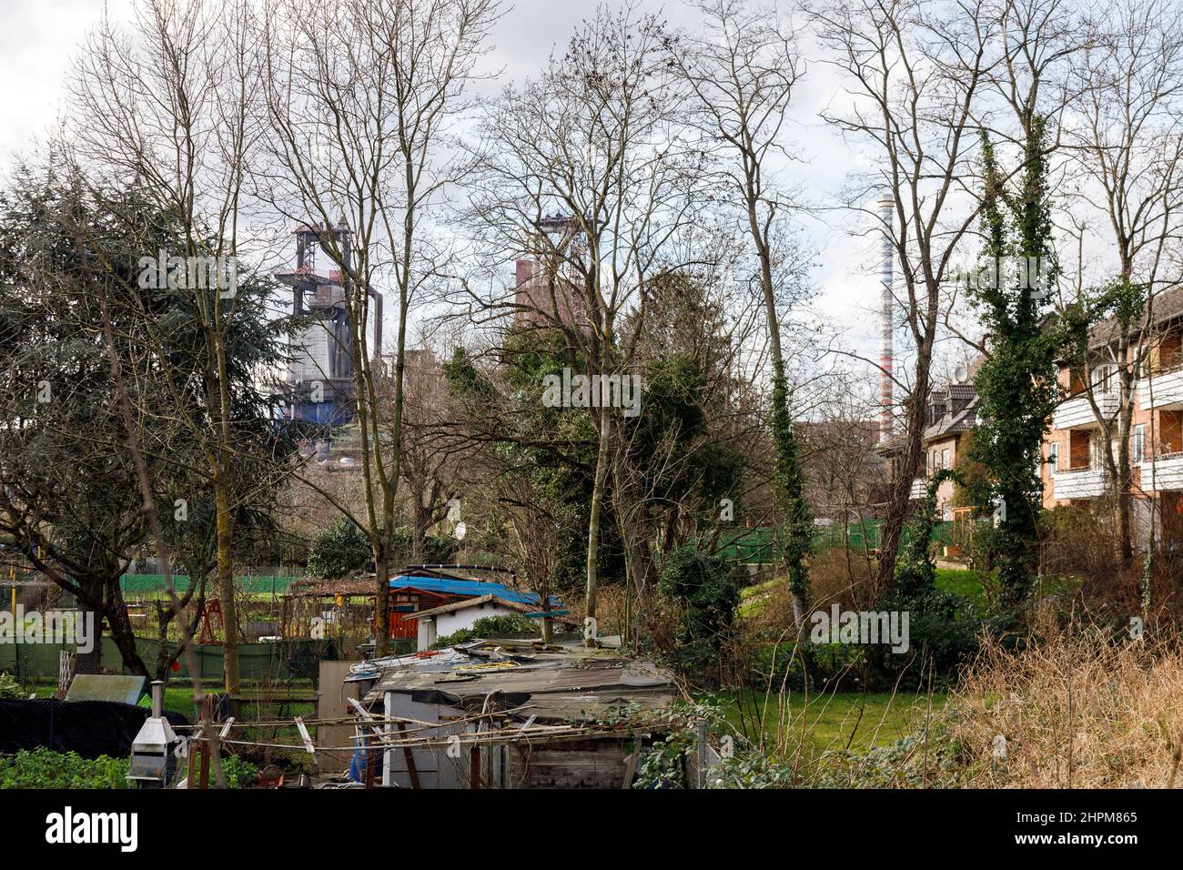 Allotment gardens in the Duisburg-Bruckhausen residential area, behind them industry with a blast furnace from Thyssenkrupp Steel Europe AG Stock Photo