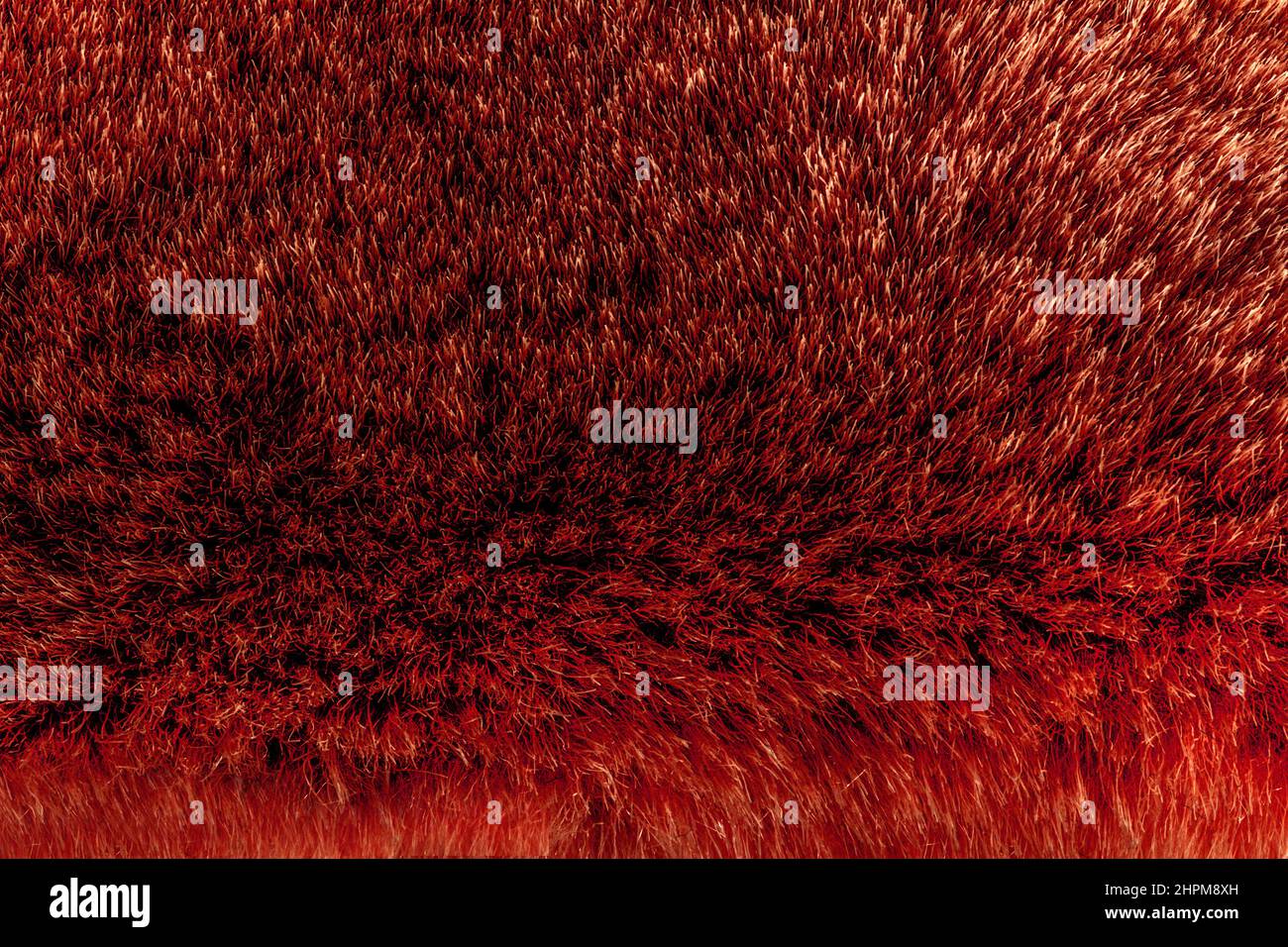 Backdrop closeup photo texture of red colored animal fur material