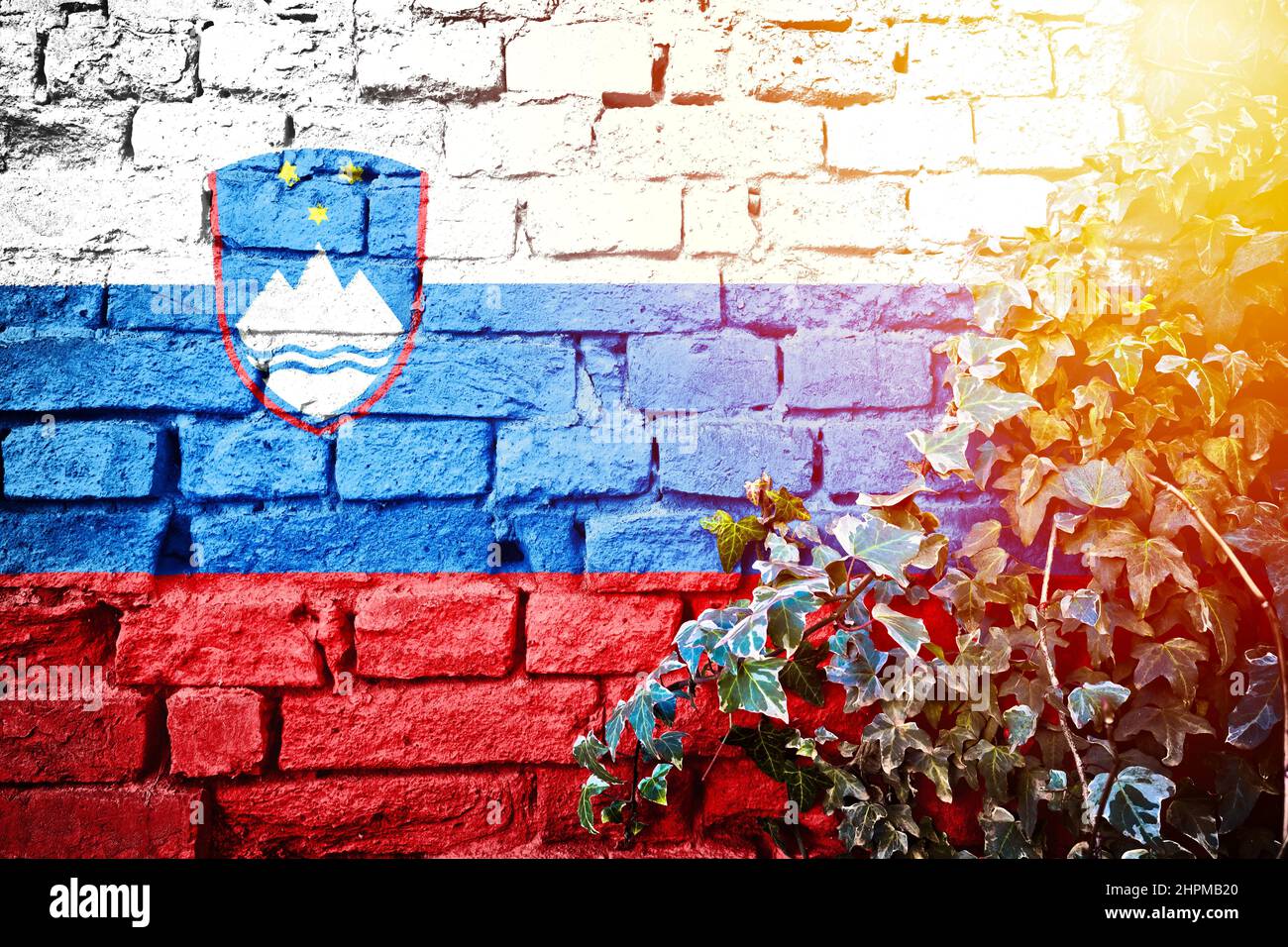 Slovenia grunge flag on brick wall with ivy plant sun haze view ...
