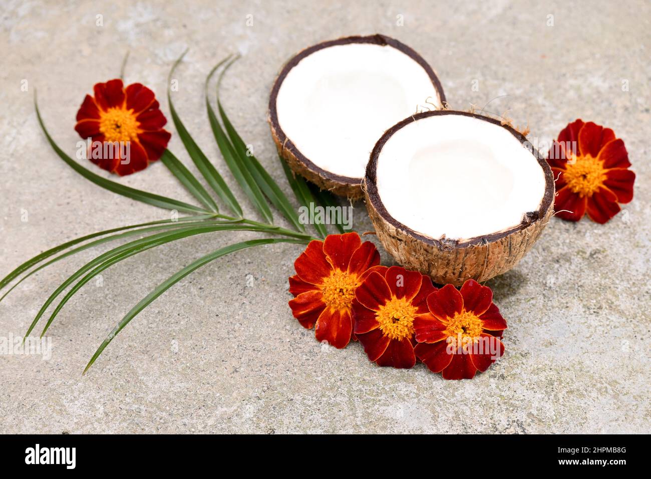 the pair of white brown coconut with marigold flowers and green leaves over out of focus grey background. Stock Photo