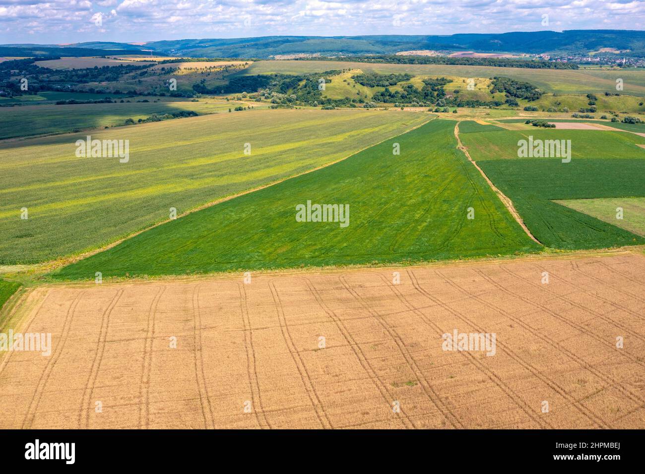 Top view of the wheat field and green fields on the hills in summer Stock Photo