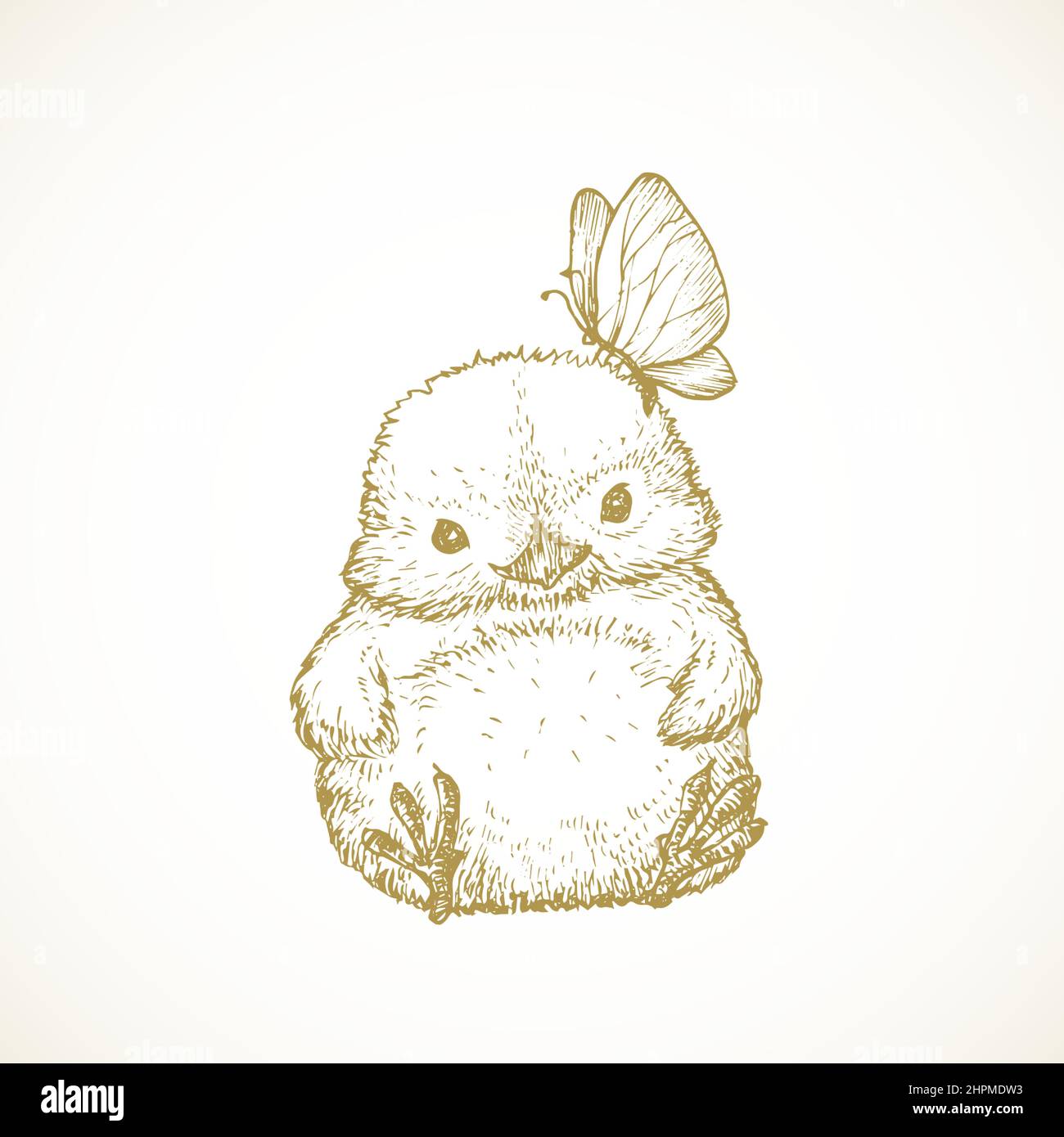 Hand Drawn Cute Easter Chick Vector Illustration. Little Chicken ...
