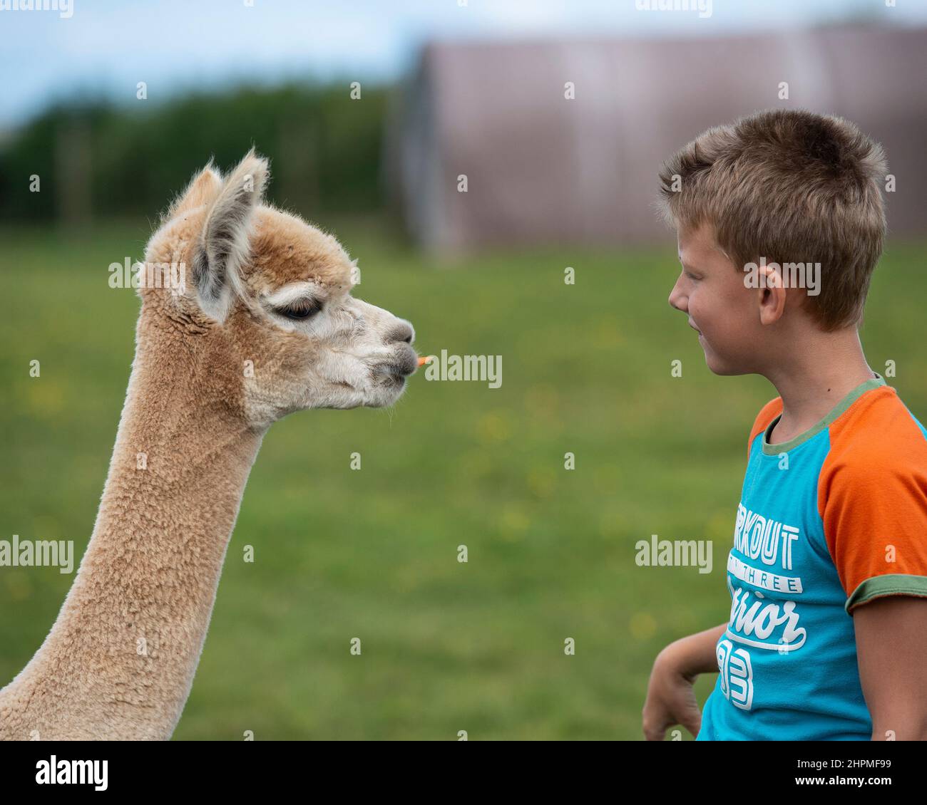 Boy side profile hi-res stock photography and images - Alamy