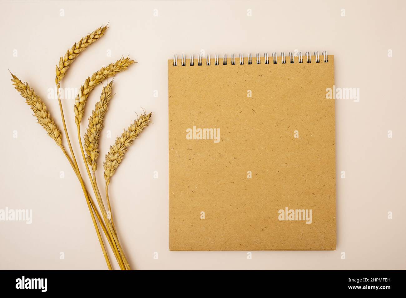 Ears of ripe wheat and recycled paper notepad on light background Stock Photo
