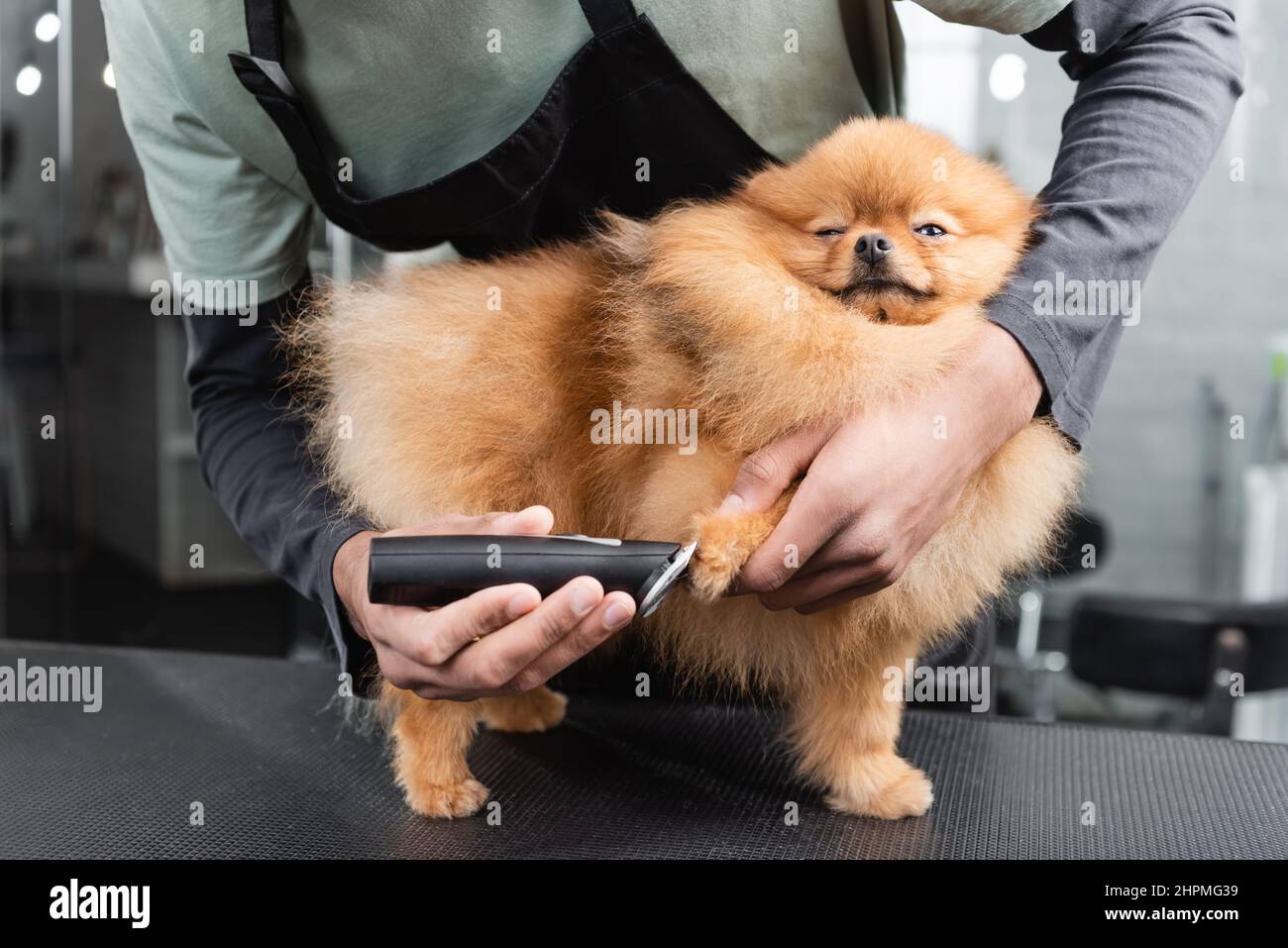 Dog winking hi-res stock photography and images - Page 2 - Alamy