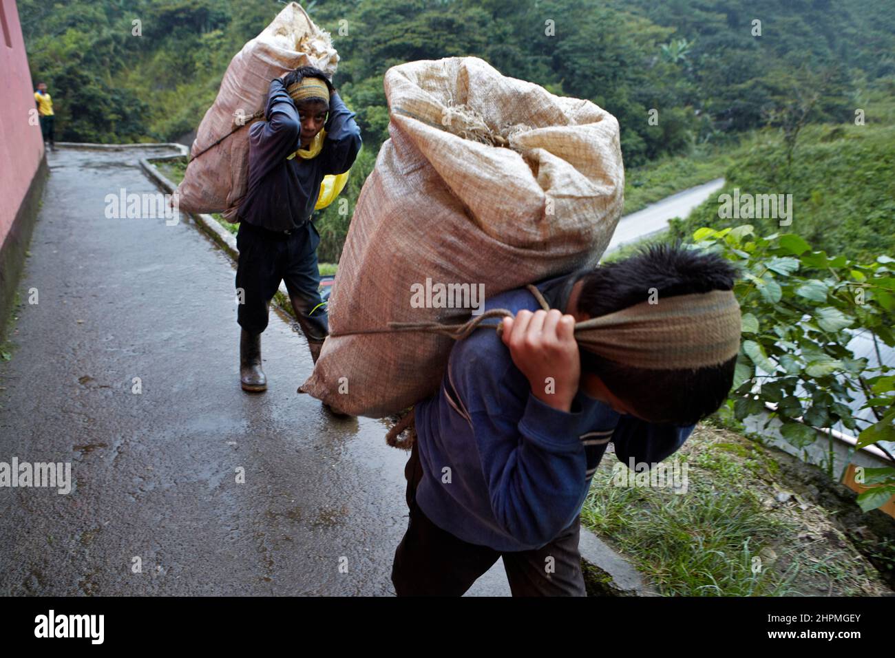 Rain tendency with carrier at the jungle road at the village Yuhilxa Guatemala. Stock Photo