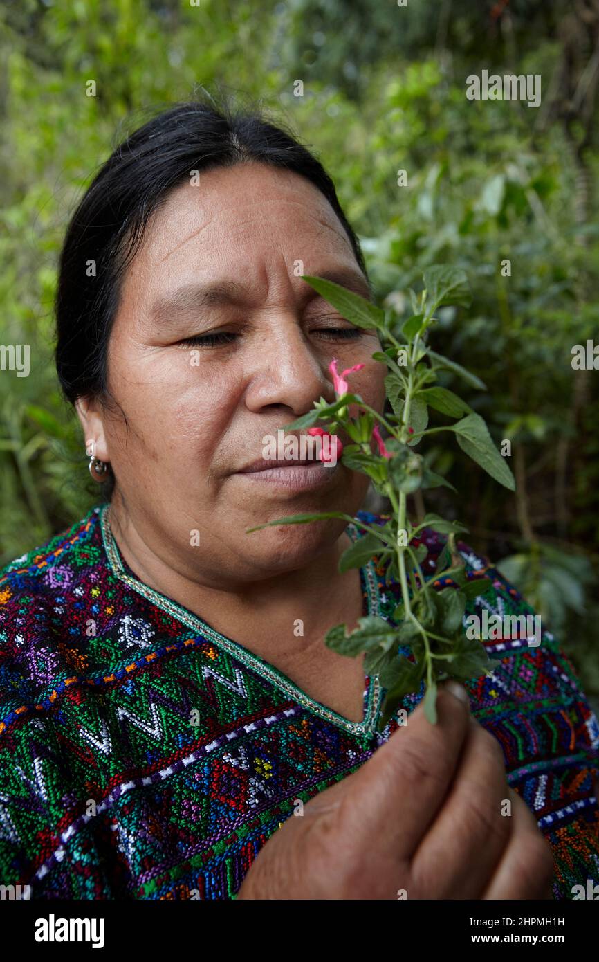 Women of the group of AMIDI in Pachay Guatemala in the garden for nature cures and vegetables. Stock Photo