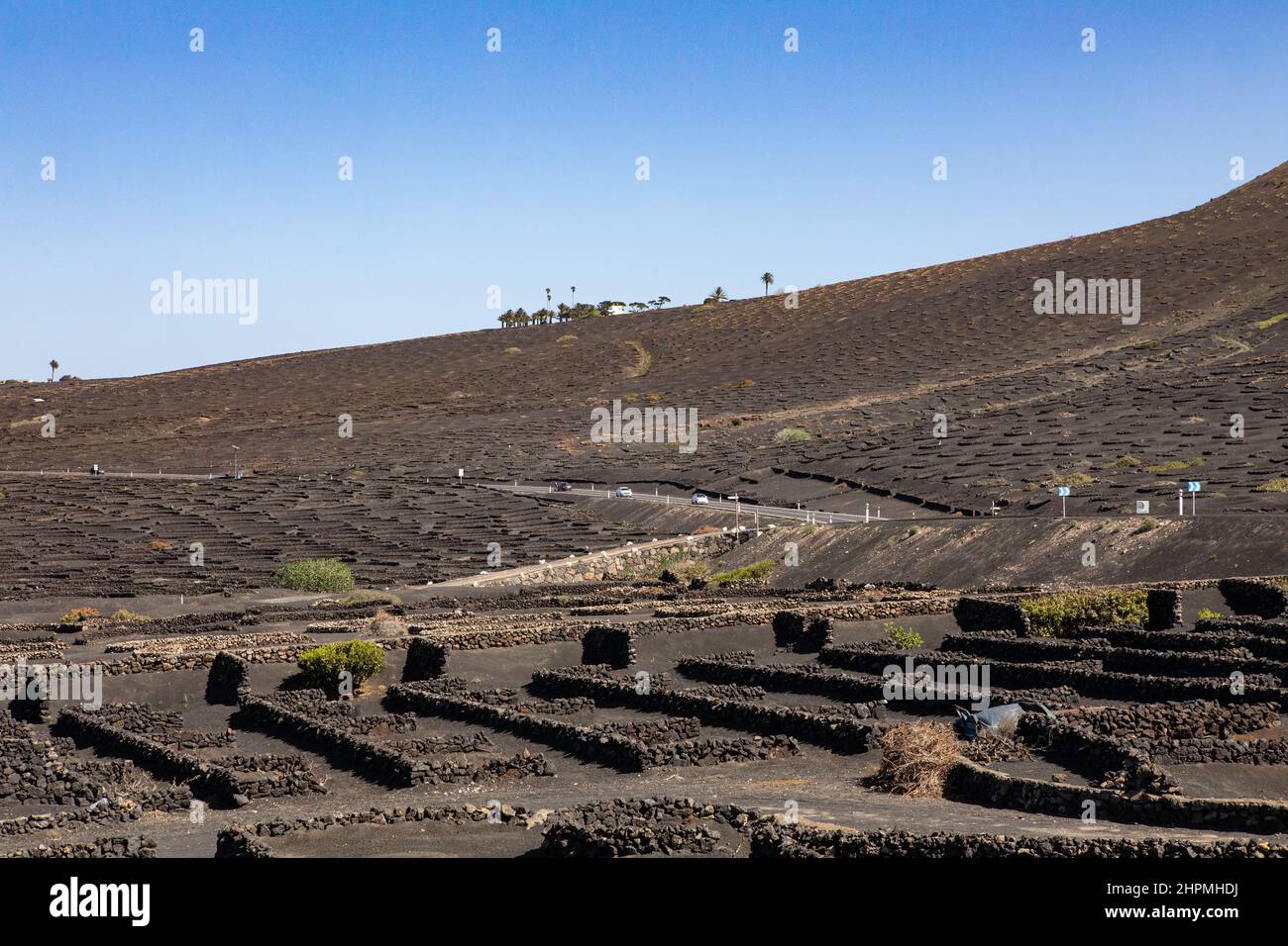 La Geria wine producing area, Yaiza, Lanzarote, Canary Islands. Stock Photo