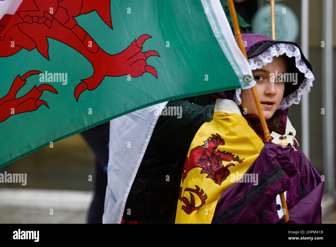 St Davids day in Cardiff, Wales, United Kingdom Stock Photo Alamy