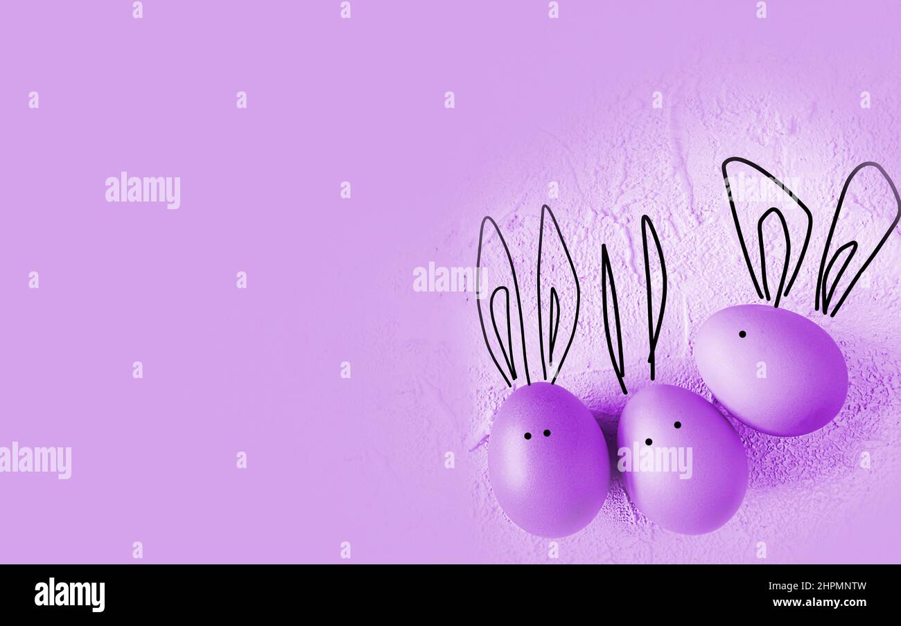 easter colored eggs with bunny ears on purple background. Stock Photo