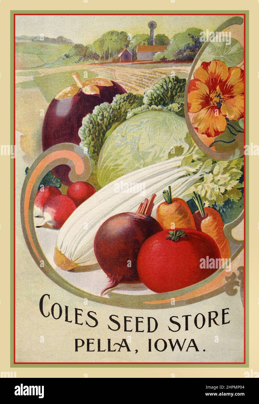 Vintage Vegetables 1900s Seed Catalogue Front Cover 'Coles Seed Store, Pella Iowa USA Illustration of a selection of vegetables with green farmland behind Stock Photo