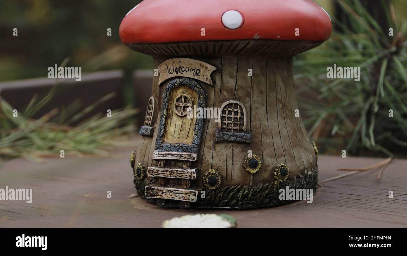A little mushroom house Stock Photo