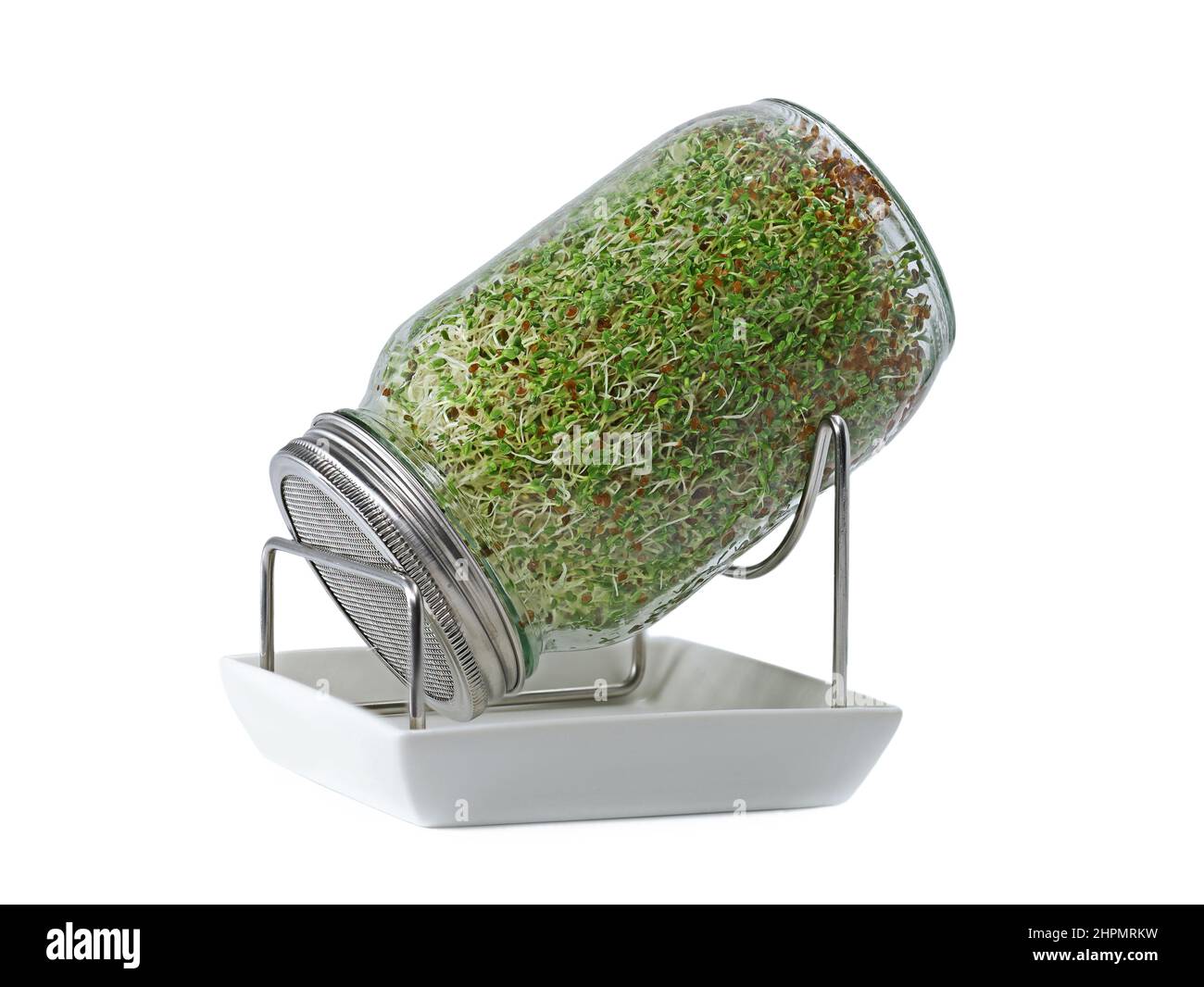 Alfalfa sprouts in a glass jar with stand and ceramic bowl isolated on white background, home growned micro greens for healthy nutrition Stock Photo
