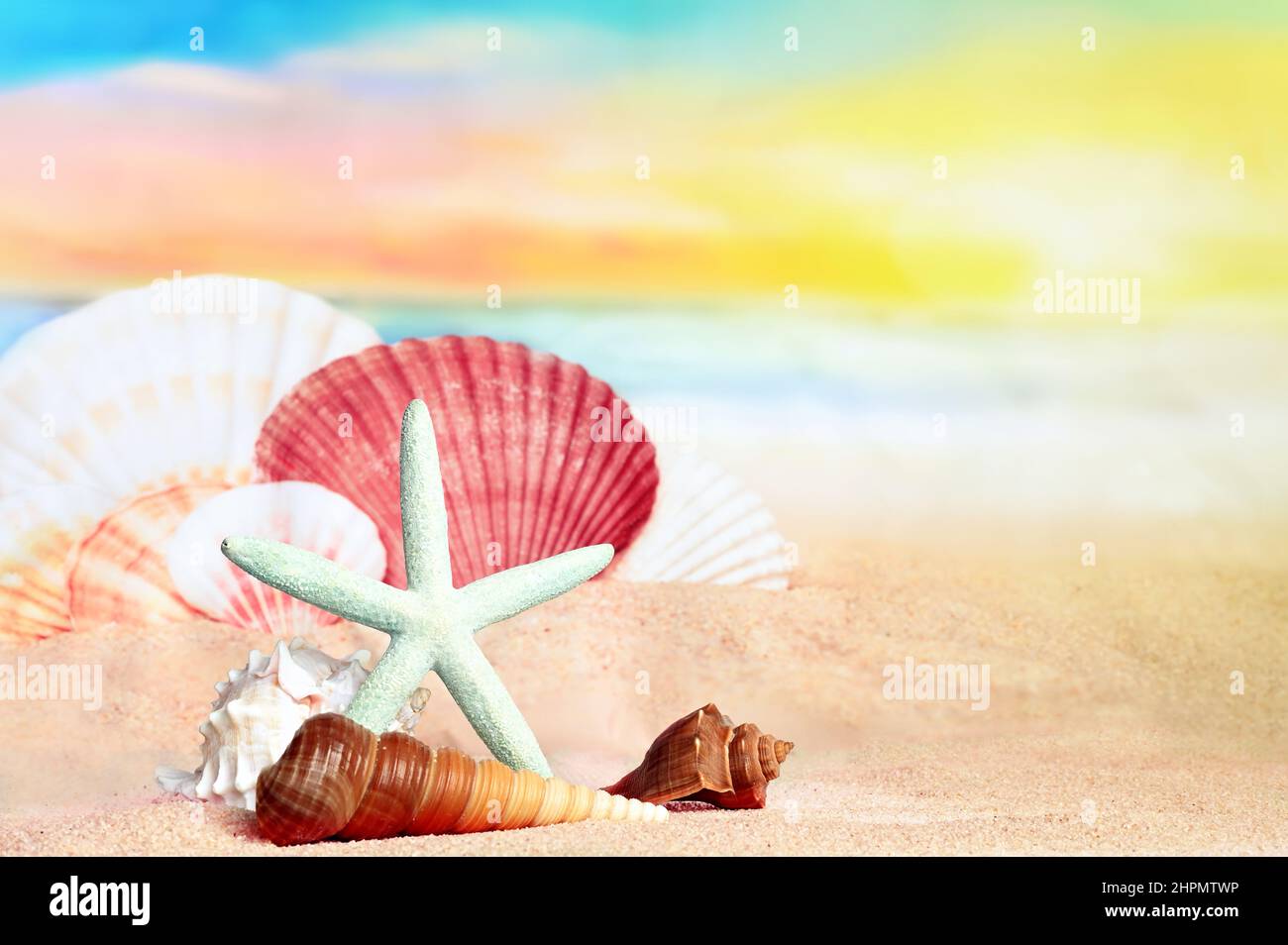 Seashells and starfish on seashore in tropical beach - summer holiday background. Stock Photo