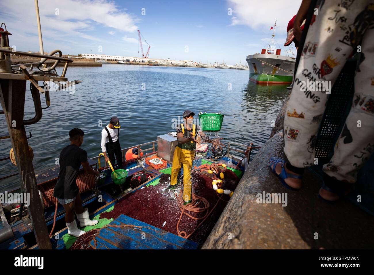 Dock workers unload fresh fish from a boat at the port of Casablanca