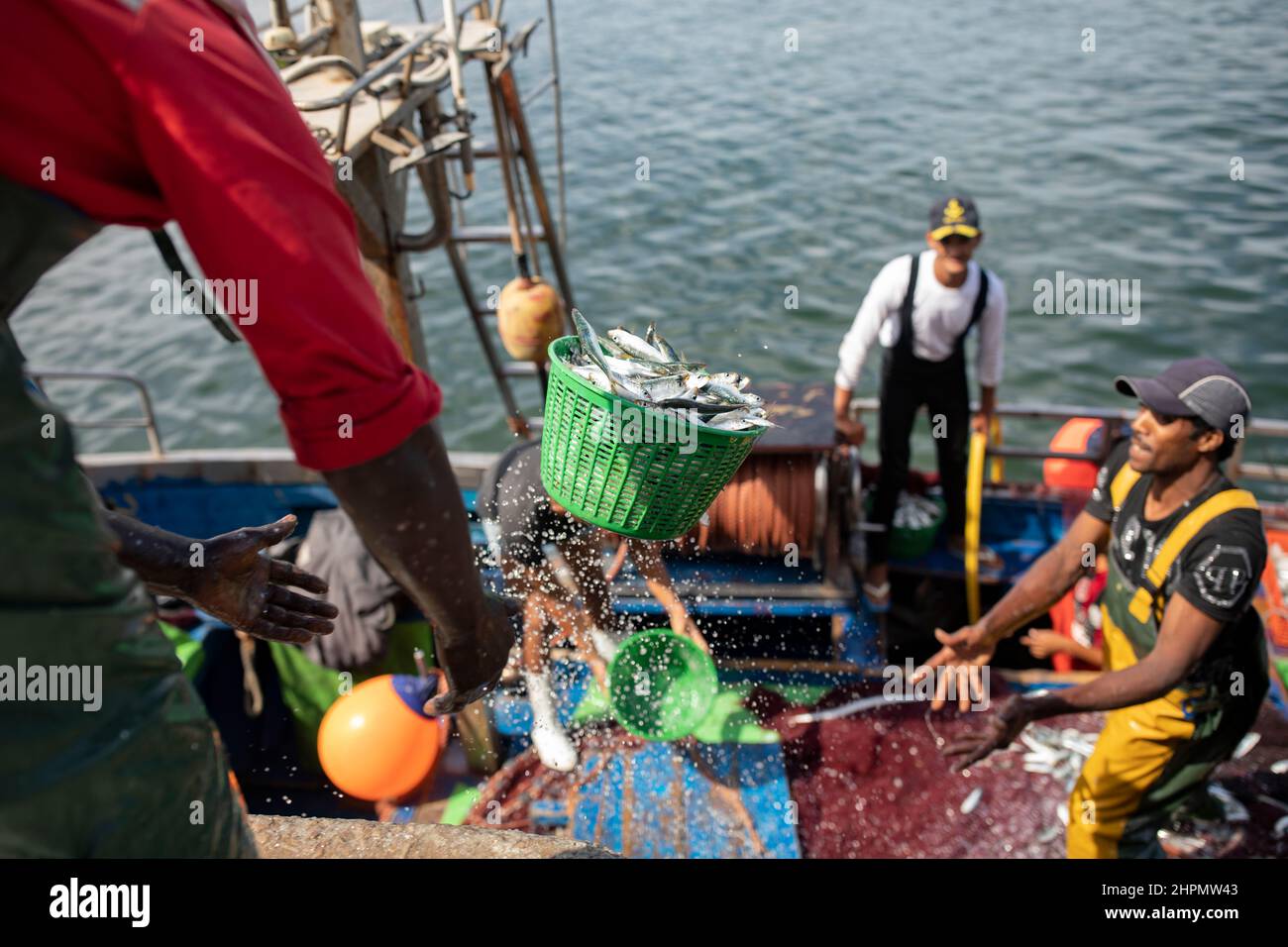 Dock workers unload fresh fish from a boat at the port of Casablanca, Morocco, North Africa. Stock Photo
